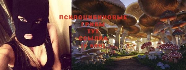 мяу мяу мука Вяземский