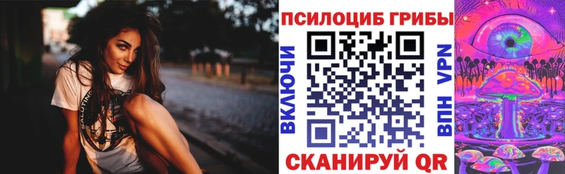 Псилоцибиновые грибы мицелий  Петров Вал 